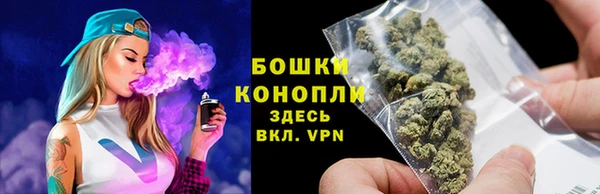 винт Вяземский