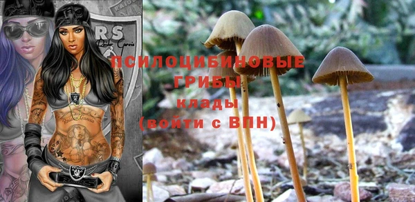 винт Вяземский