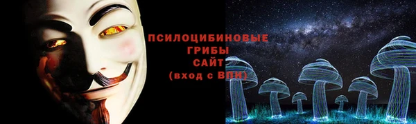 прущая мука Вязники