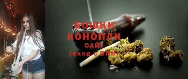 ГАЛЛЮЦИНОГЕННЫЕ ГРИБЫ Вязьма