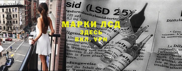 ГАЛЛЮЦИНОГЕННЫЕ ГРИБЫ Вязьма