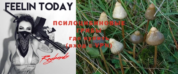 прущая мука Вязники