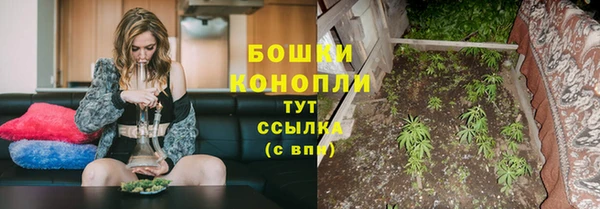 винт Вяземский