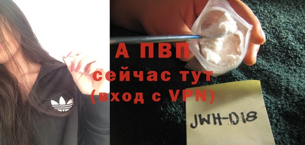 ГАЛЛЮЦИНОГЕННЫЕ ГРИБЫ Вязьма
