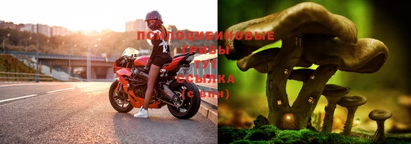 прущая мука Вязники