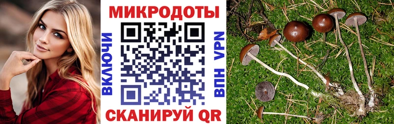 Купить  Володарск  Галлюциногенные грибы MAGIC MUSHROOMS 